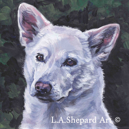 Canaan dog portrait art print of LA Shepard painting 8x8"