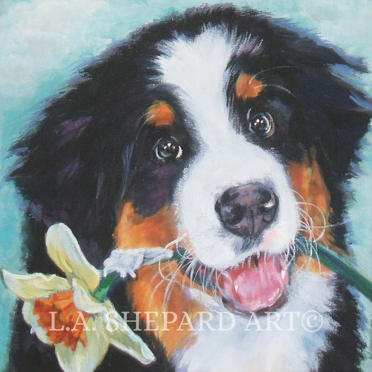 Bernese Mountain Dog art portrait print of LA Shepard painting 8x8