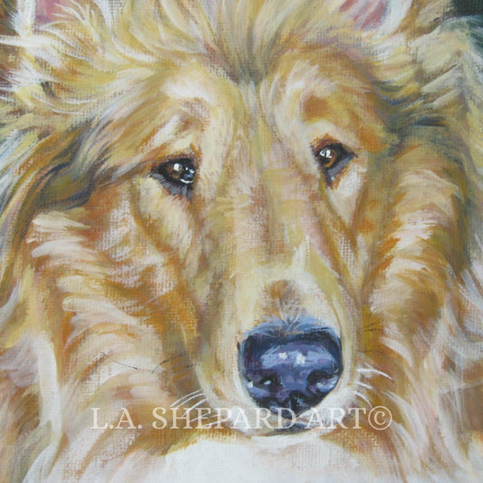 Rough Collie dog portrait art print of LA Shepard painting 12x12