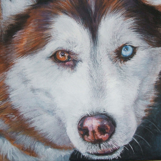 Siberian Husky dog art CANVAS print of L.A.Shepard painting 8x8" portrait