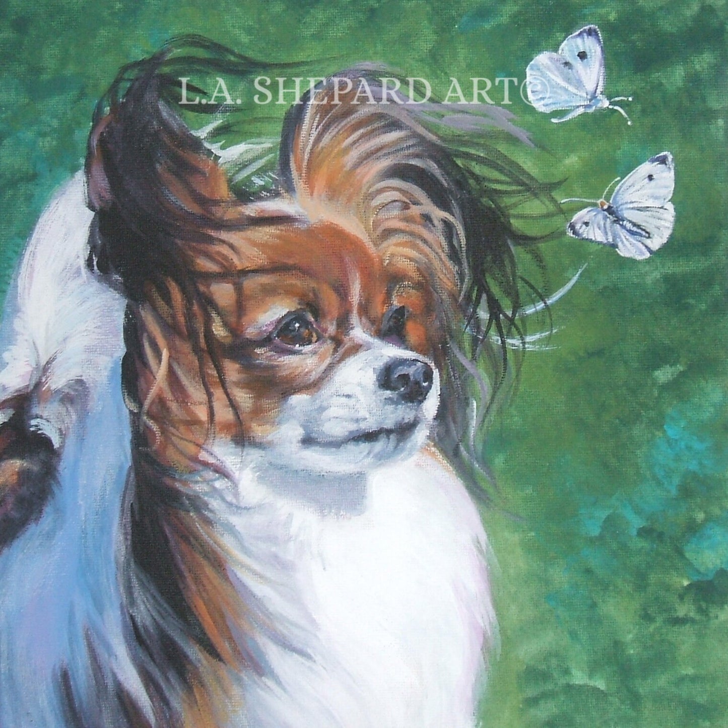 PAPILLON DOG art portrait canvas PRINT of LAShepard painting 12x12