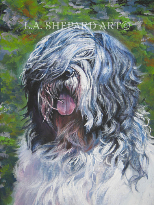POLISH LOWLAND SHEEPDOG dog art portrait print of LAShepard painting 12x16