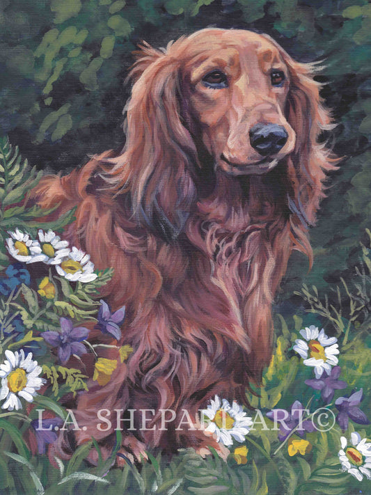 red DACHSHUND DOG portrait art PRINT of LAShepard painting 12x16
