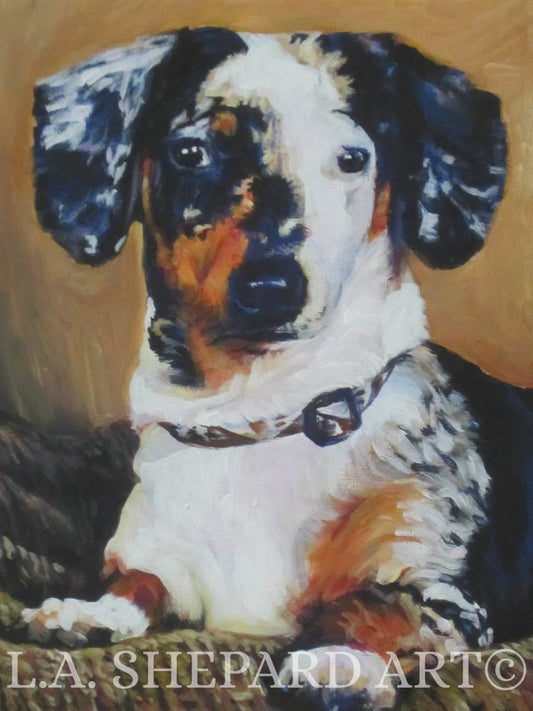 DACHSHUND dog ART portrait PRINT of LAShepard painting 12x16