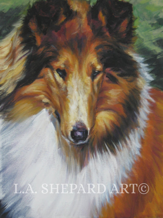 ROUGH COLLIE dog art portrait print of LAShepard painting 11x14