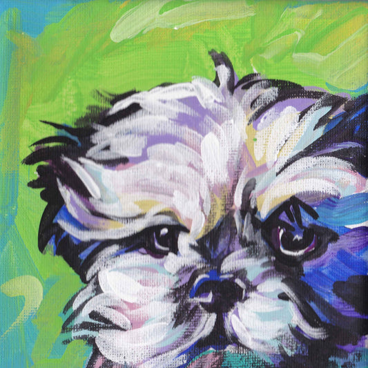 Shih Tzu art print modern Dog art pop dog art bright colors 12x12