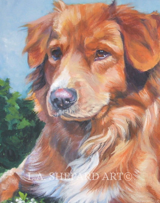 Nova Scotia Duck Tolling Retriever TOLLER dog ART canvas PRINT of LAShepard painting 8x10"