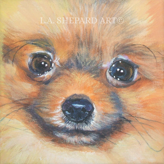 POMERANIAN PORTRAIT dog art PRINT of LAShepard painting 8x8