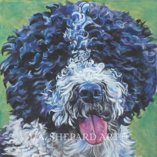 SPANISH WATER DOG art portrait print of LAShepard painting 8x8"