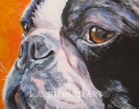 BOSTON TERRIER dog art PORTRAIT print of LAShepard painting 8x10
