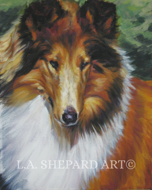 Rough COLLIE Dog ART portrait canvas PRINT of LAShepard painting 8x10