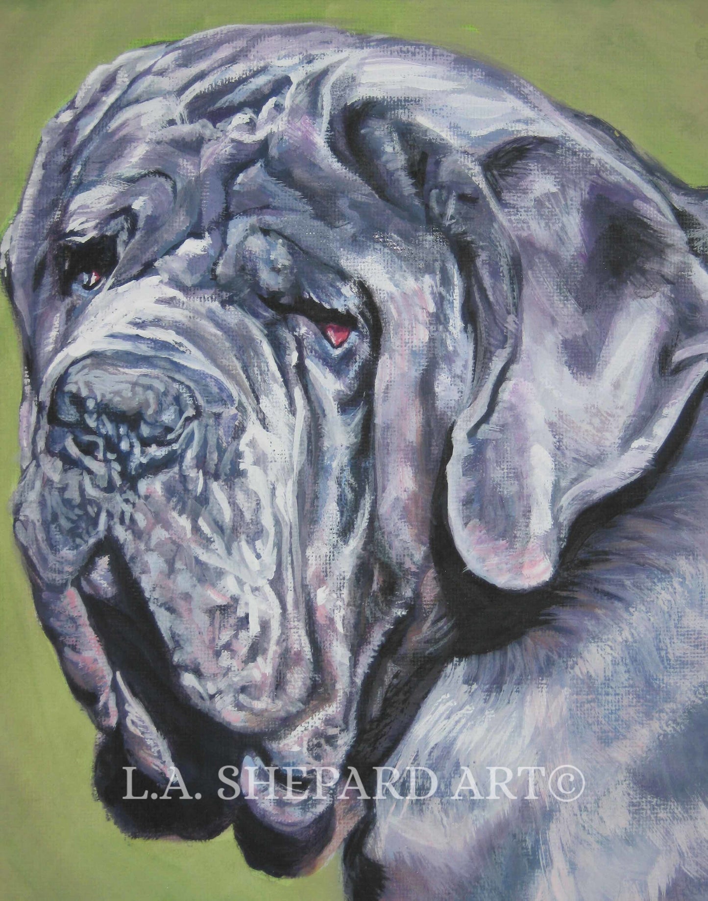 NEAPOLITAN MASTIFF portrait dog art canvas PRINT of LAShepard painting 8x10