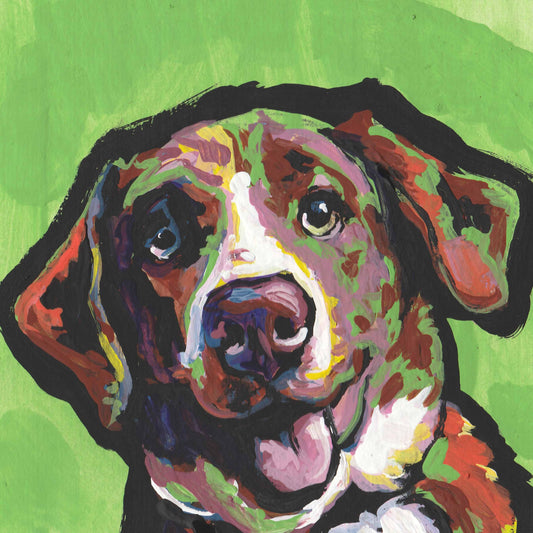 Catahoula Mix Dog portrait art PRINT of pop art painting bright colors 12x12"