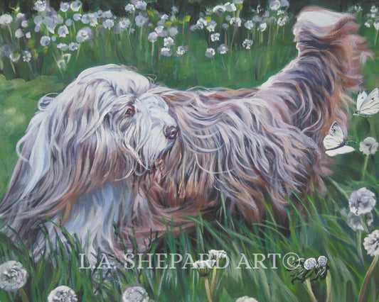 BEARDED COLLIE dog ART  print of LAShepard painting 12x16