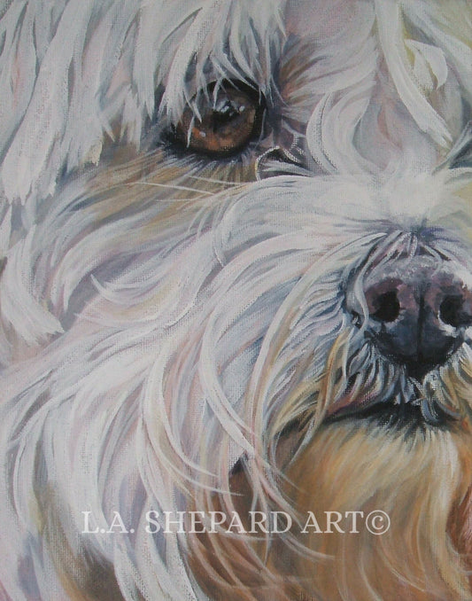 MALTESE dog art PORTRAIT canvas PRINT of LAShepard painting 8x10"