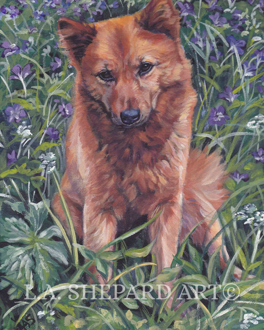 Finnish SPITZ dog portrait art  PRINT of LAShepard painting 8x10"