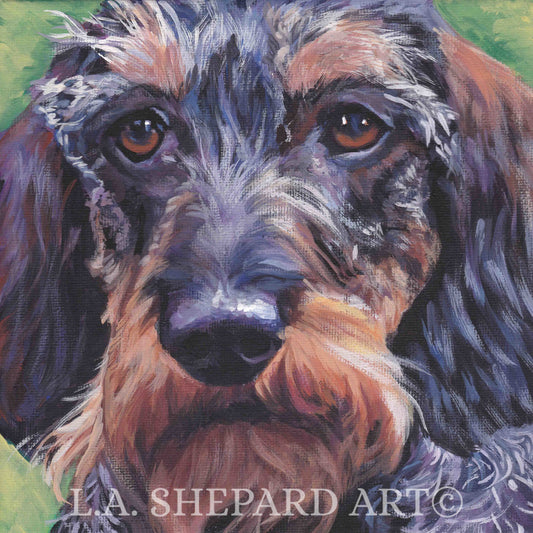 wire haired DACHSHUND DOG ART canvas print of LAShepard painting 12x12
