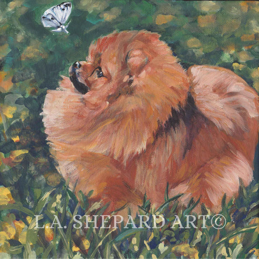 beautiful POMERANIAN DOG art portrait canvas PRINT of LAShepard painting 8x8" pom