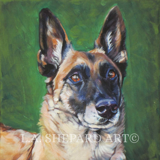 BELGIAN MALINOIS dog art portrait PRINT of LAShepard painting 12x12