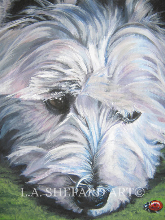 West Highland Terrier WESTIE dog PORTRAIT art canvas PRINT of LAShepard painting 8x10"
