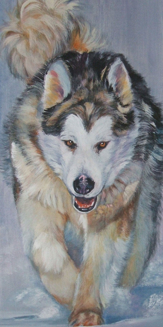 Alaskan MALAMUTE dog art portrait canvas PRINT of LAShepard painting 9x18"