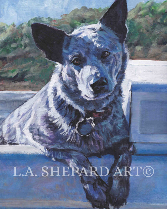 Australian Cattle Dog art BLUE HEELER canvas PRINT of LAShepard painting 8x10
