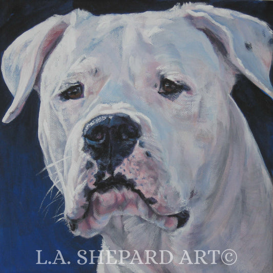 DOGO ARGENTINO dog portrait art PRINT of LAShepard painting 12x12