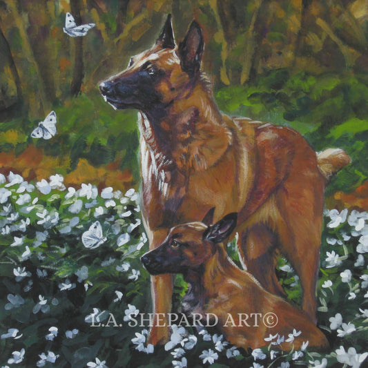 BELGIAN MALINOIS art PRINT canvas print of LAShepard painting 8x8