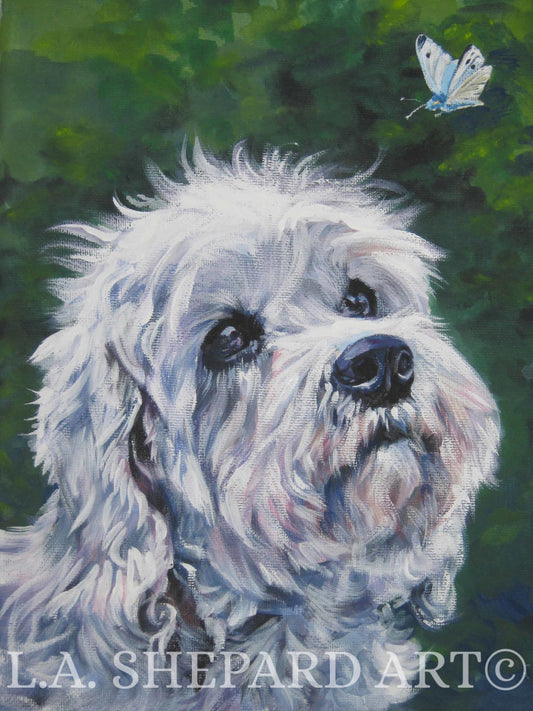 DANDIE DINMONT TERRIER dog portrait art print by LAShepard 8x10