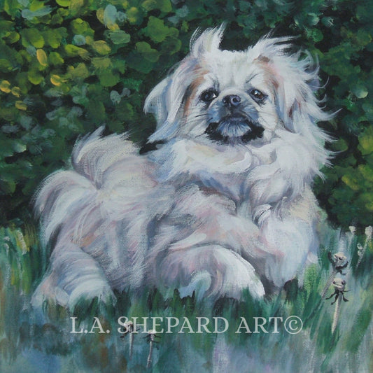 TIBETAN SPANIEL dog art canvas PRINT of LAShepard painting 8x8