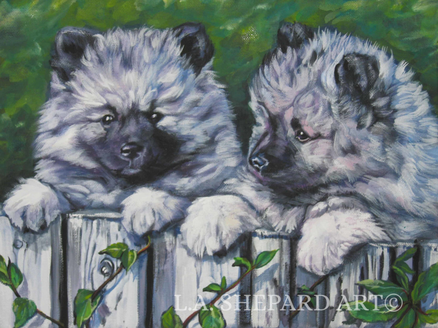 KEESHOND puppy dog ART canvas PRINT of LAShepard painting 8x10"