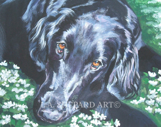 Flat Coated RETRIEVER dog portrait ART canvas PRINT of LAShepard painting 8x10