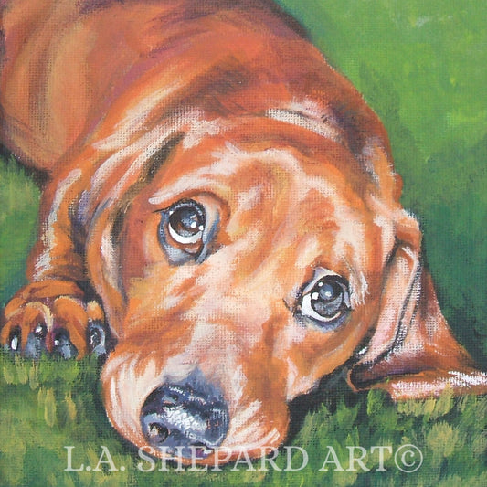 DACHSHUND dog portrait art canvas PRINT of LAShepard painting 8x8"
