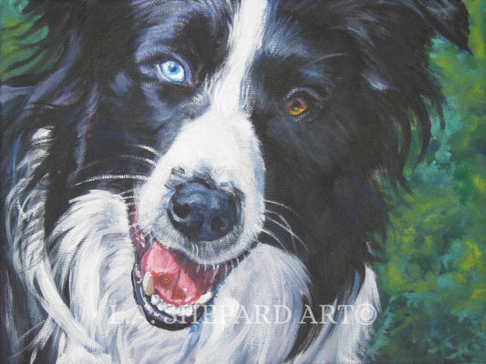 BORDER COLLIE dog art PRINT of LAShepard painting 8x10