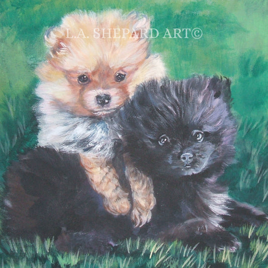 POMERANIAN dog portrait ART canvas PRINT of LAShepard painting 12x12"