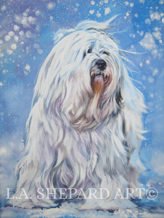 HAVANESE dog art PORTRAIT canvas PRINT of LAShepard painting 8x10" pet portrait