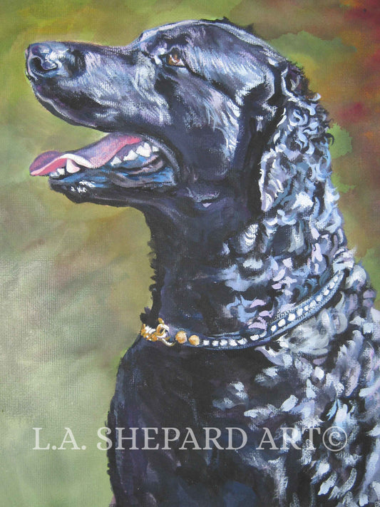 Curly Coated Retriever portrait dog art print of LAShepard painting 12x16