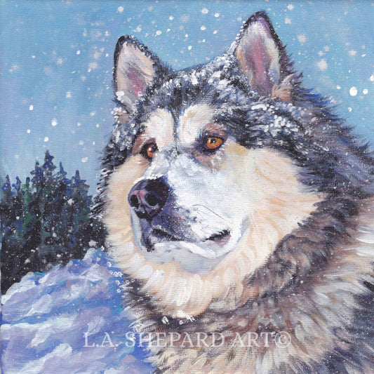 Alaskan Malamute dog art portrait print of LAShepard painting 12x12