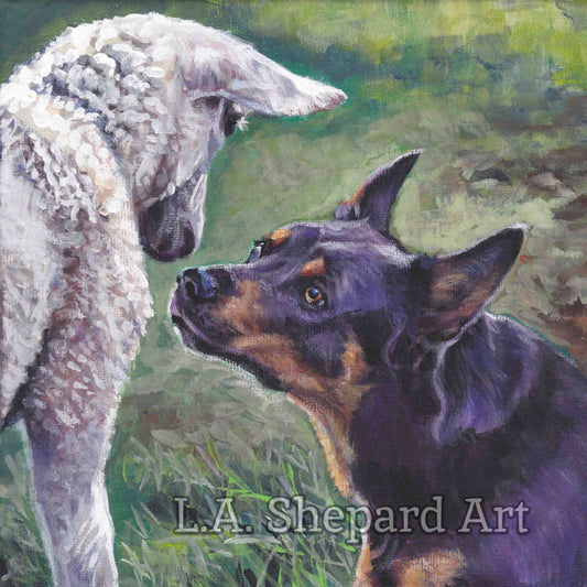 AUSTRALIAN KELPIE and sheep canvas PRINT of LAShepard painting dog art 8x8