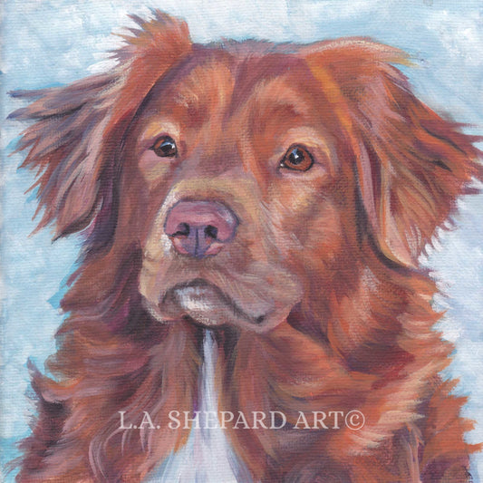 Nova Scotia Duck Tolling Retriever TOLLER dog portrait ART canvas PRINT of LAShepard painting 8x8"
