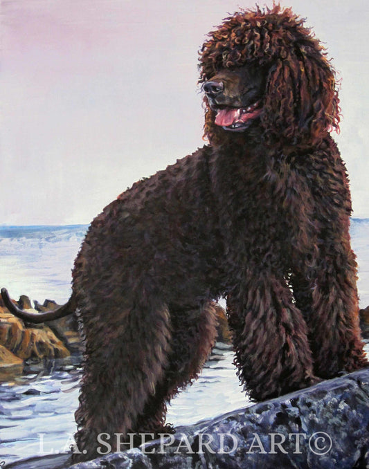 Irish Water Spaniel dog art PRINT of LAShepard painting 8x10