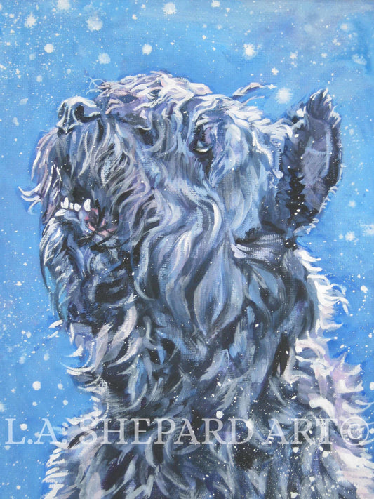 BOUVIER Des Flandres dog ART portrait canvas PRINT of LAShepard painting 12x16