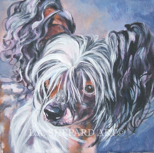 CHINESE CRESTED portrait dog art canvas PRINT of LAShepard painting 12x12