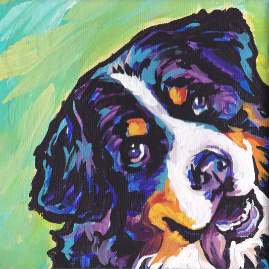 BERNESE Mountain DOG art PRINT modern pop art bright colors 12x12