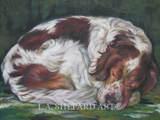IRISH Red And White SETTER dog art Canvas PRINT of L.A.Shepard painting 8 x 10"