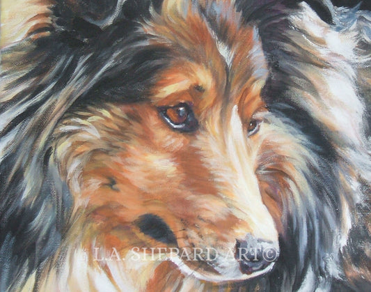 Shetland Sheepdog SHELTIE dog ART portrait PRINT of LAShepard painting 11x14