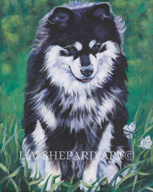 FINNISH LAPPHUND dog portrait art canvas PRINT of LAShepard painting 8x10"