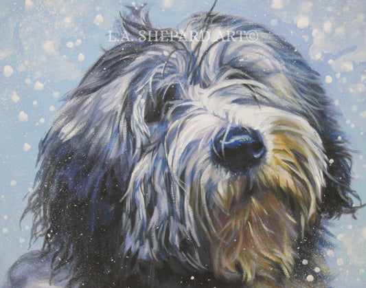 Polish Lowland Sheepdog art print canvas print of LAShepard painting 11x14