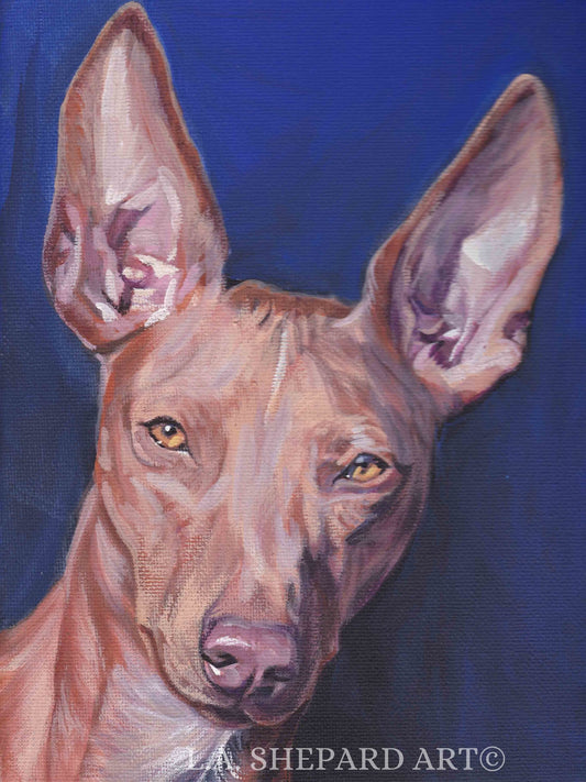 CIRNECO dell'Etna HOUND dog portrait art canvas PRINT of LAShepard painting 8x10"