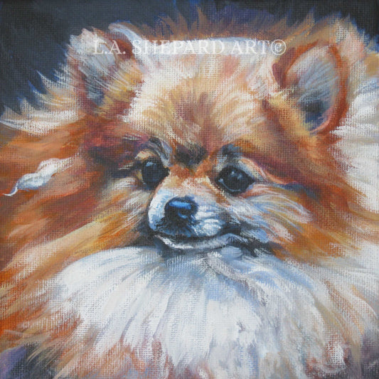 POMERANIAN dog ART portrait canvas PRINT of LAShepard painting 8x8"